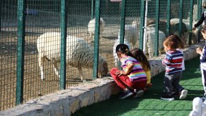Keçiören'de doğal yaşama yoğun ilgi