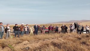 Kırşehir'de Mevlid-i Nebi Haftası dolayısıyla 1000 adet çam fidanı dikildi