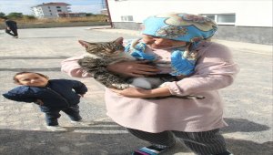 Konya'da girdiği otomobilin motor bölümünde mahsur kalan kediyi itfaiye ekipleri kurtardı