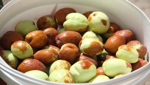 Konya'da hünnap yetiştiriciliği yaygınlaştırılacak