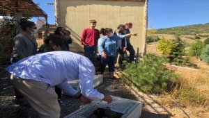 Konya'da sanatçılar sülünleri doğayla buluşturdu