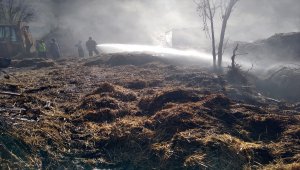 Nallıhan'da yangın sonucu 2 bin 500 saman balyası yandı