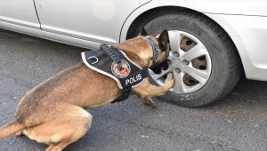 Nevşehir'de narkotik köpeği destekli uyuşturucu operasyonu