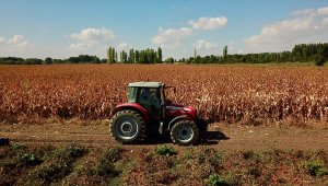 Öğretmenlik eğitimi alan genç kadın çiftçilik ve hayvancılığı seçti