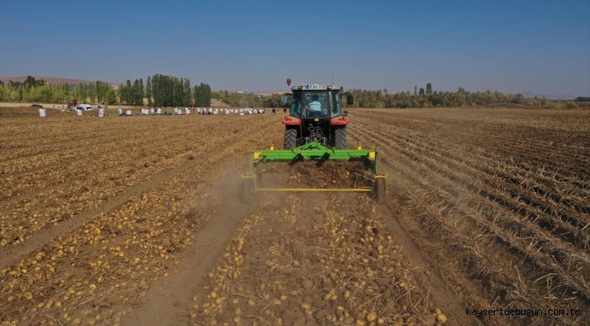 Sivas'ta 350 bin ton patates rekoltesi bekleniyor