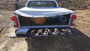 Sivas'ta kaçak avlanan 13 kişiye 25 bin lira ceza 