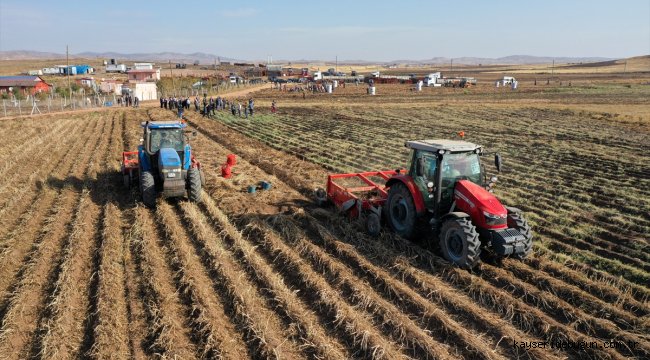 Sivas'ta mor patates ve şeker pancarı hasadı yapıldı 