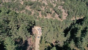 Sivas'ta "Sivas'ı Keşfet" doğa yürüyüşü düzenlendi