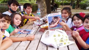 Sorgun ilçesinde sokak hayvanları için mama bırakıldı