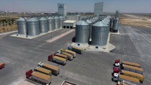 Türkiye'nin 2023'teki "sertifikalı tohum" ihracatı hedefi 320 milyon dolar