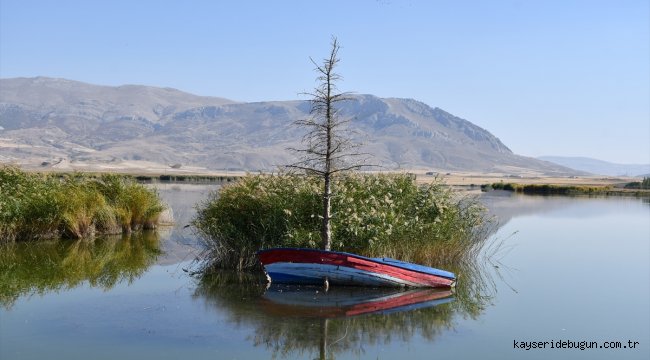 Ulaş Gölü, 20 yıldır taşıma suyla hayat buluyor