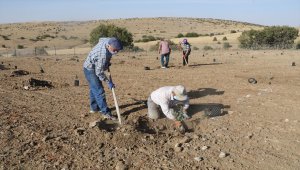 Yozgat'ın bozkırında devlet desteğiyle trüf mantarı üretilecek
