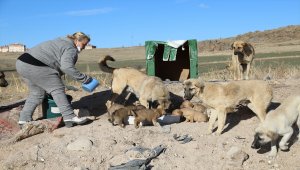 Ankaralı hayvansever aile, salgınla zorlaşan şartlara rağmen sokak hayvanlarını unutmuyor