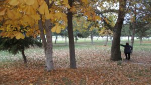 Beyşehir Gölü Milli Parkı'nda sonbahar manzaraları