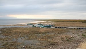 Beyşehir Gölü'nde sular çekildi, kıyılarda sazlıklar oluştu