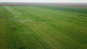 Eskişehir'de 2020 yılında 325 bin 500 dekar tarım arazisi sulandı