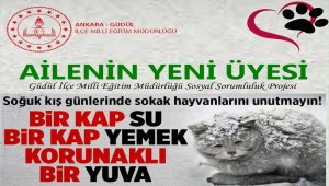Güdül'de sokak hayvanları için "Ailenin Yeni Üyesi" projesi