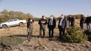 Halkapınar'da 500 fidan toprakla buluştu