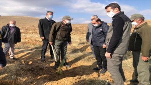 Hüyük'te "geleceği nefes" sloganıyla fidanlar toprakla buluşturuldu
