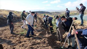 İncesu'da 600 fidan toprakla buluştu 