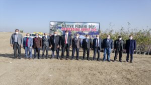 Kahramankazan'da 2 bin 400 meyve fidanı toprakla buluştu