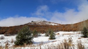 Kar yağan Geminbeli Geçidi'nde sonbaharda renk cümbüşü oluştu 