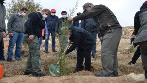 Karaman'da 11 Kasım Milli Ağaçlandırma Günü etkinliği
