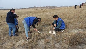 Karapınar'da binlerce meşe palamudu toprakla buluşturuldu