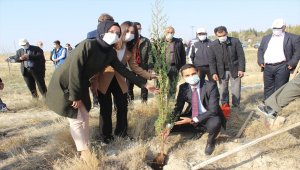 Karapınar'da fidanlar toprakla buluşturuldu