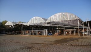 Kaymakamlıktan aldıkları 3 düve ile hayvancılık sektörüne atılan aile ihracata başladı