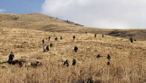 Kayseri'de MHP teşkilatı şehitler için Erciyes'e 406 fidan dikti 