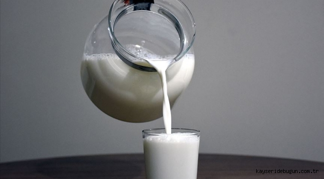 Kayseri'de tüketime uygun olmayan 3 ton süt ürünü imha edildi
