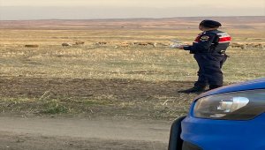 Kırıkkale'de kaybolan 30 koyun drone yardımıyla bulundu