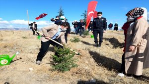 Kırıkkale'de "Milli Ağaçlandırma Günü" etkinliği