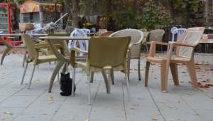 Konya, Afyonkarahisar, Karaman ve Aksaray'da yeni Kovid-19 tedbirleri hayata geçirildi