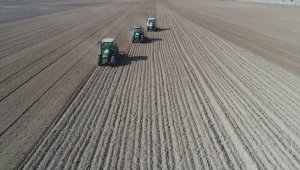 Konya Büyükşehir Belediyesi, kendi arazisini üretime açarak elde edilen geliri ihtiyaç sahiplerine dağıtacak