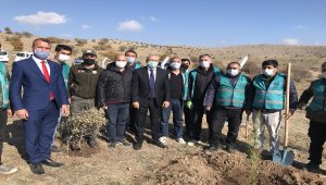 Konya'da Adalet Ormanı'na 5 bin fidan dikildi