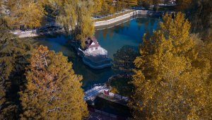 Konya'daki Kuğulu ve Japon Parkı hazan renklerine büründü