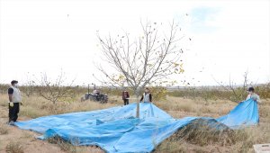 Kovid-19 nedeniyle mahkumları izne çıkan cezaevinde üretimi personel sürdürüyor