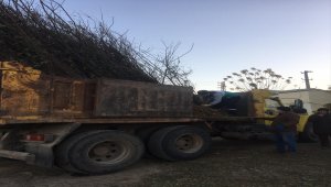 Şereflikoçhisar'da ağaçlandırma çalışması