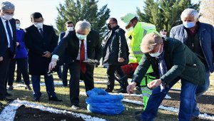 "Sevgi Çiçeği" Başkentte koruma altında yetişecek 