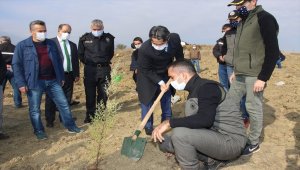 Seydişehir'de fidanlar toprakla buluştu