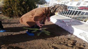 Sivas'ta anaokulu öğretmenleri öğrencileri adına fidan dikti 