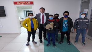 Sivas'ta çocukların yaralı köpek için verdiği çaba yürekleri ısıttı