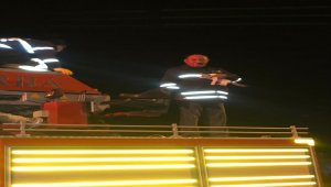 Sivas'ta elektrik direğinde mahsur kalan kediyi itfaiye kurtardı