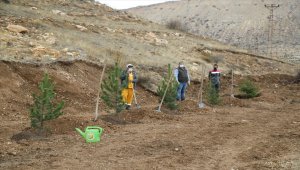 Sivas'ta, İzmir depreminin sembolü 3 yaşındaki Elif ve Ayda adına fidan dikildi
