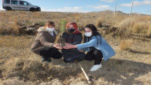 Sivas'ta "Milli Ağaçlandırma Günü" etkinliği