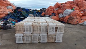 Sivas'ta plastik kasa hırsızlığı iddiası