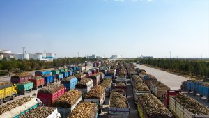 Tarladan sofralara "tatlı" yolculuk