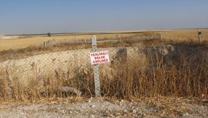 Tarlalarında oluşan 2 obruğa rağmen tarıma devam ediyorlar